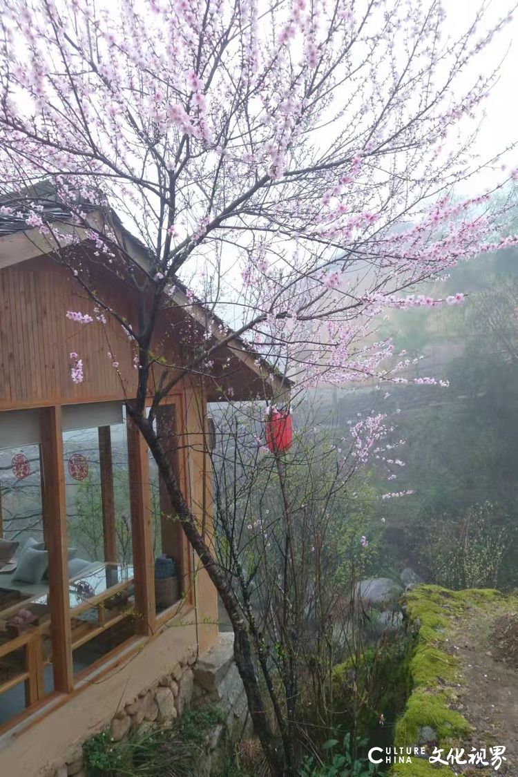 古村坑根嗅早春