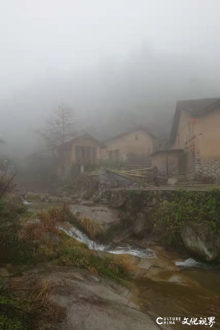 古村坑根嗅早春