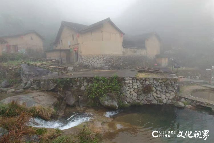 古村坑根嗅早春