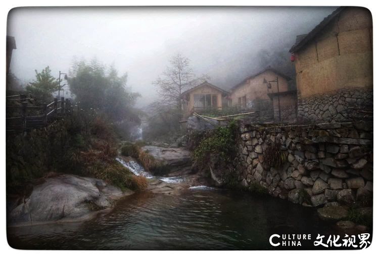 古村坑根嗅早春
