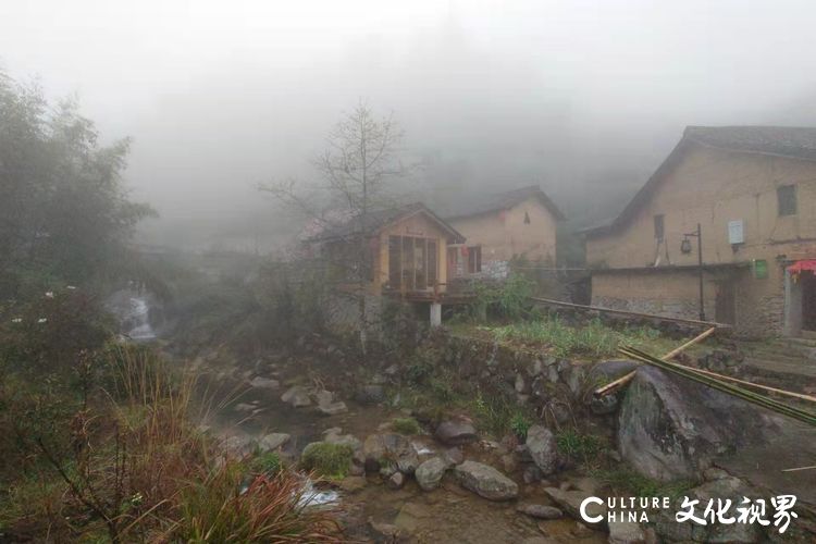 古村坑根嗅早春