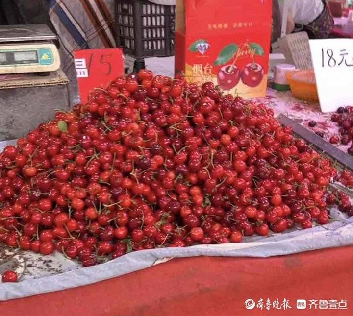 济南本地樱桃大量上市，一斤只要十几元