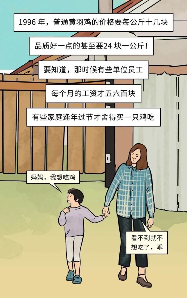 速生鸡不是激素鸡，九联食品带你分辨白羽鸡与黄羽鸡