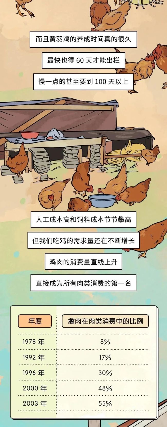 速生鸡不是激素鸡，九联食品带你分辨白羽鸡与黄羽鸡