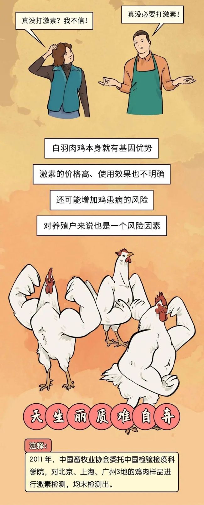 速生鸡不是激素鸡，九联食品带你分辨白羽鸡与黄羽鸡