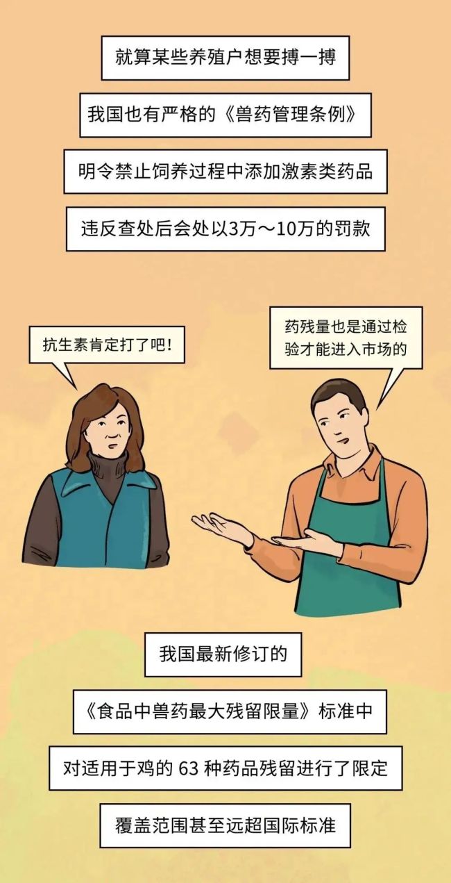 速生鸡不是激素鸡，九联食品带你分辨白羽鸡与黄羽鸡