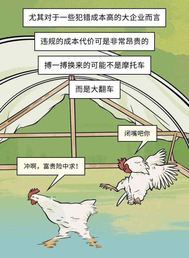 速生鸡不是激素鸡，九联食品带你分辨白羽鸡与黄羽鸡