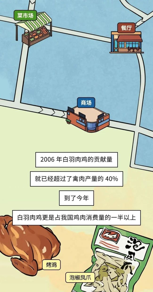 速生鸡不是激素鸡，九联食品带你分辨白羽鸡与黄羽鸡