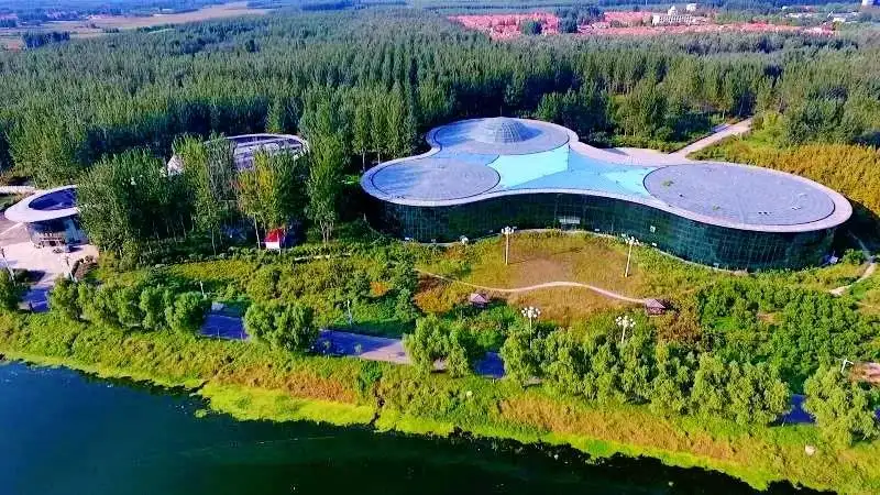 ​5月29日，超劲爽的“森林美食节”将在潍坊诸城得利斯热带植物园盛大启幕