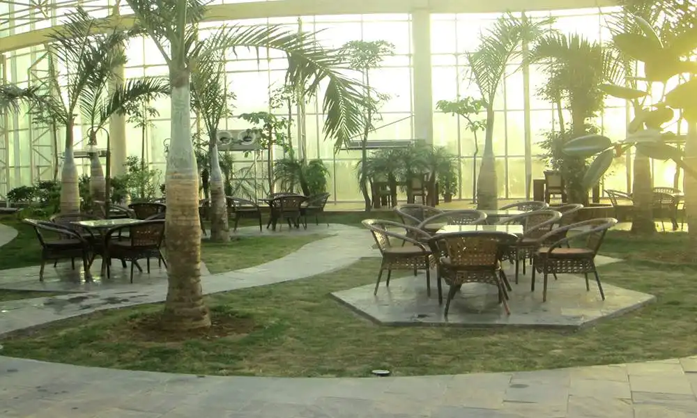 ​5月29日，超劲爽的“森林美食节”将在潍坊诸城得利斯热带植物园盛大启幕