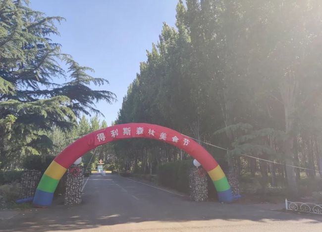 人约黄昏后，2022潍坊诸城得利斯夏季“森林美食节”盛大开幕