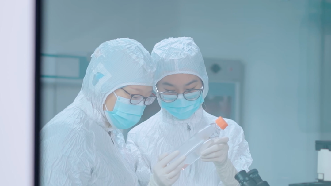 银丰生物细胞保存液成功获得一类医疗器械体外诊断试剂备案