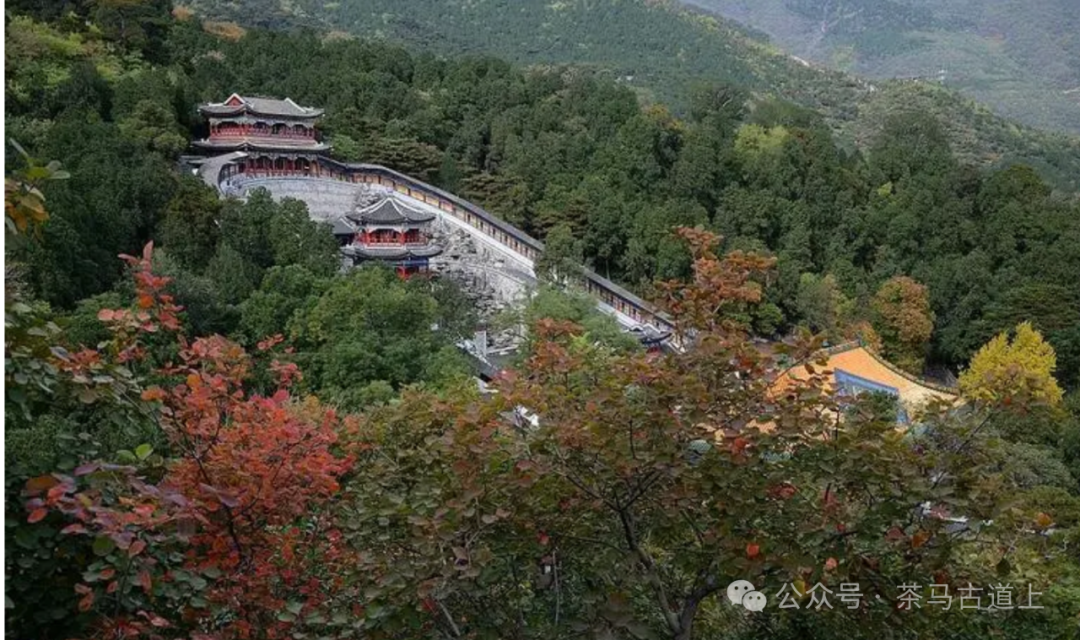 随舒建新一起漫步在北京中轴线，打开老北京尘封的记忆……