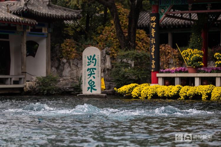 让200万市民喝上泉水，济南的“泉水共享”底气何来？