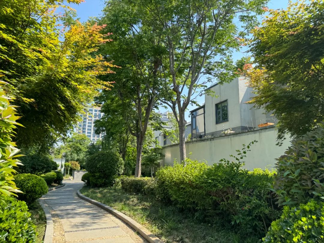 日照山海大象·山水龙庭——高品质湖景墅居，松弛感中式庭院