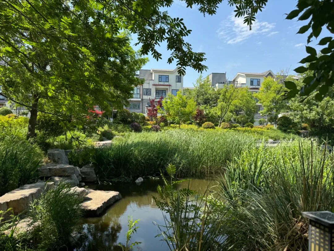 日照山海大象·山水龙庭——高品质湖景墅居，松弛感中式庭院
