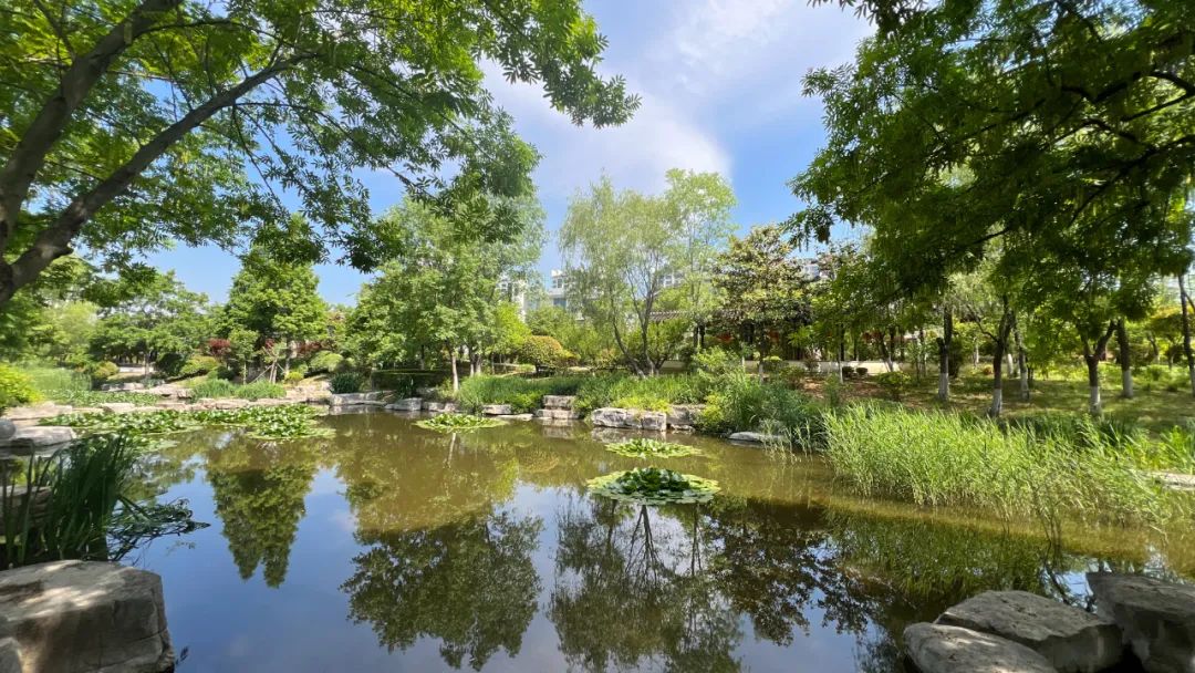 日照山海大象·山水龙庭——高品质湖景墅居，松弛感中式庭院