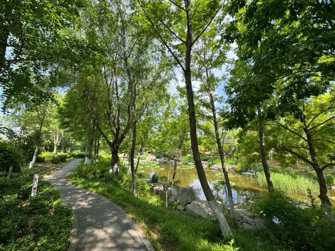 日照山海大象·山水龙庭——高品质湖景墅居，松弛感中式庭院