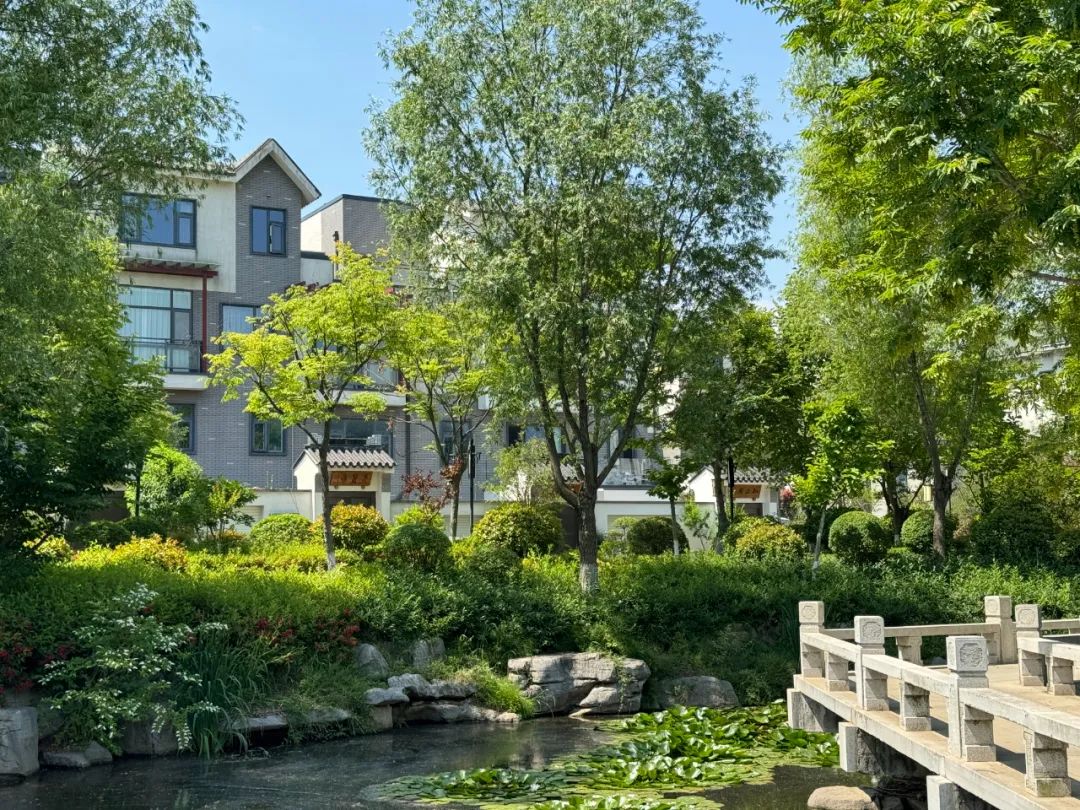 日照山海大象·山水龙庭——高品质湖景墅居，松弛感中式庭院