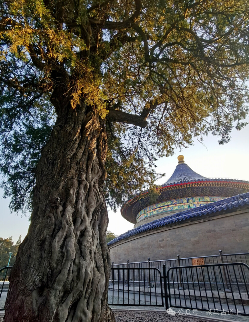 随舒建新一起丈量古都中轴线的昔日今朝，感受盛世的宁静