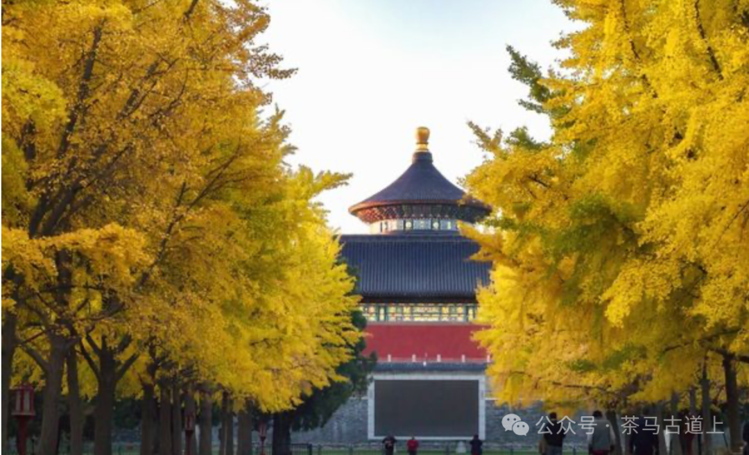 随舒建新一起丈量古都中轴线的昔日今朝，感受盛世的宁静