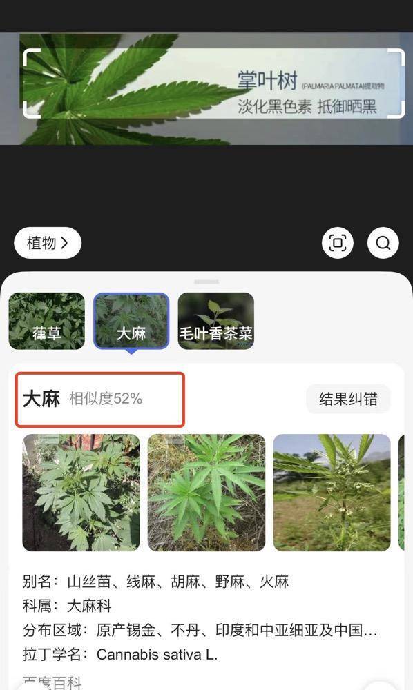 美肤宝化妆品疑似用大麻做宣传图，客服：图片没放错