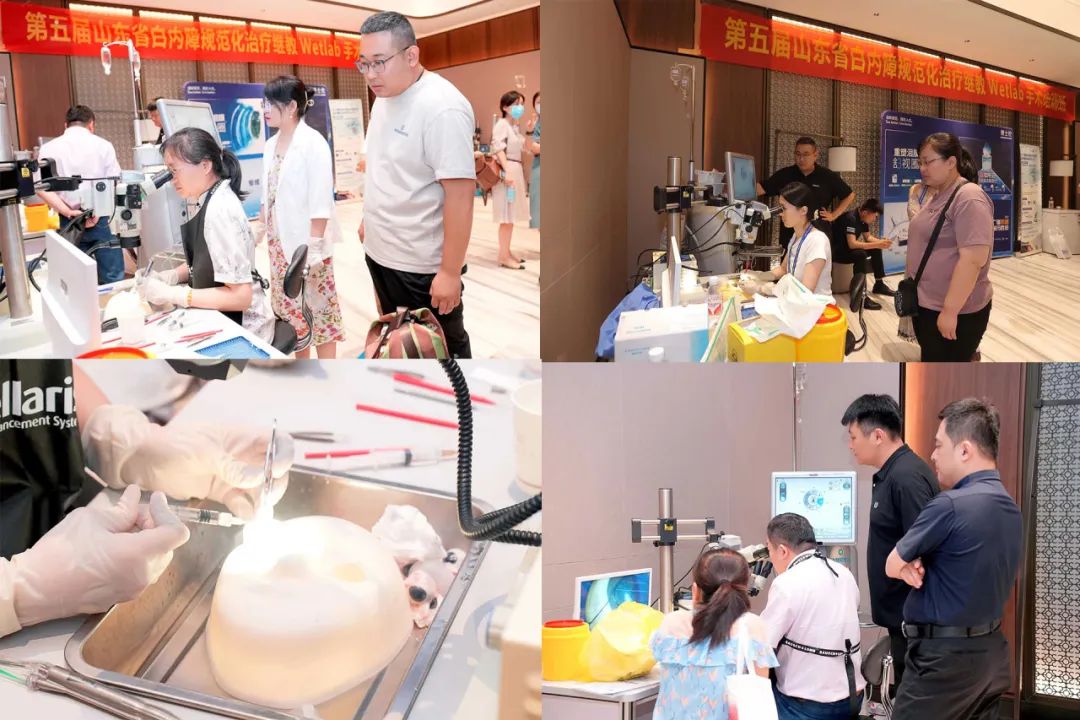 山东省老年学与老年医学学会眼科专业委员会成立大会暨学术会议在济南成功召开