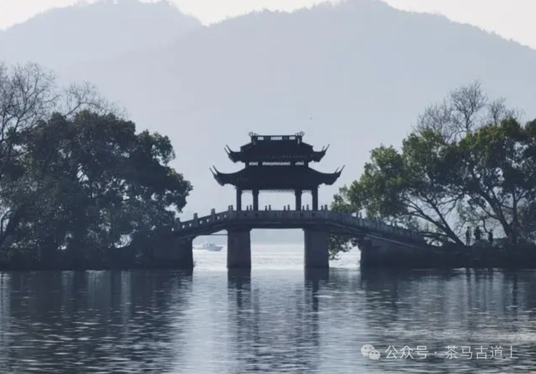 随舒建新再游“人间天堂”，领略东方山水美学的典范