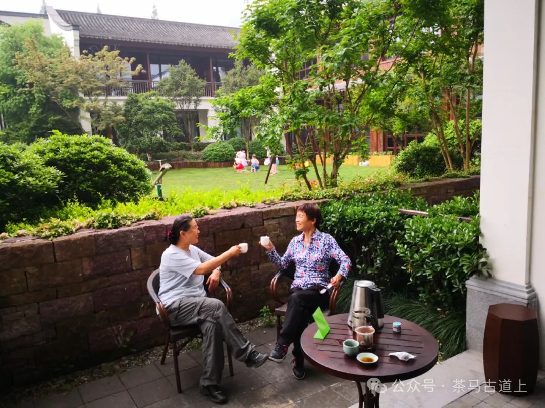 随舒建新再游“人间天堂”，领略东方山水美学的典范