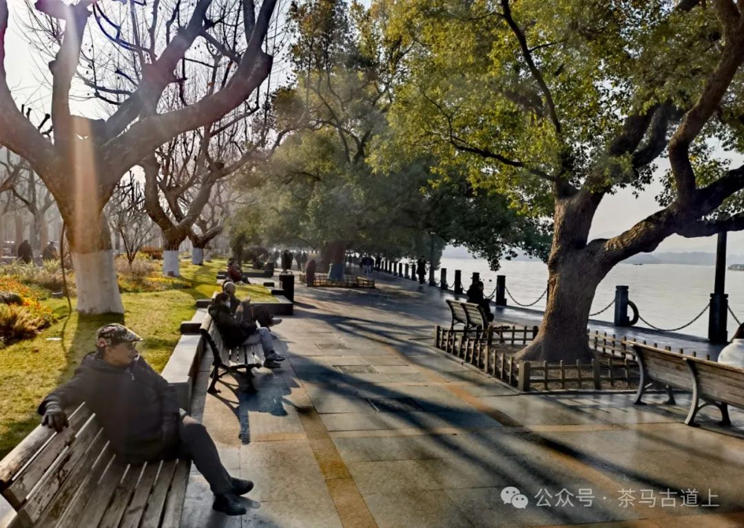 随舒建新再游“人间天堂”，领略东方山水美学的典范