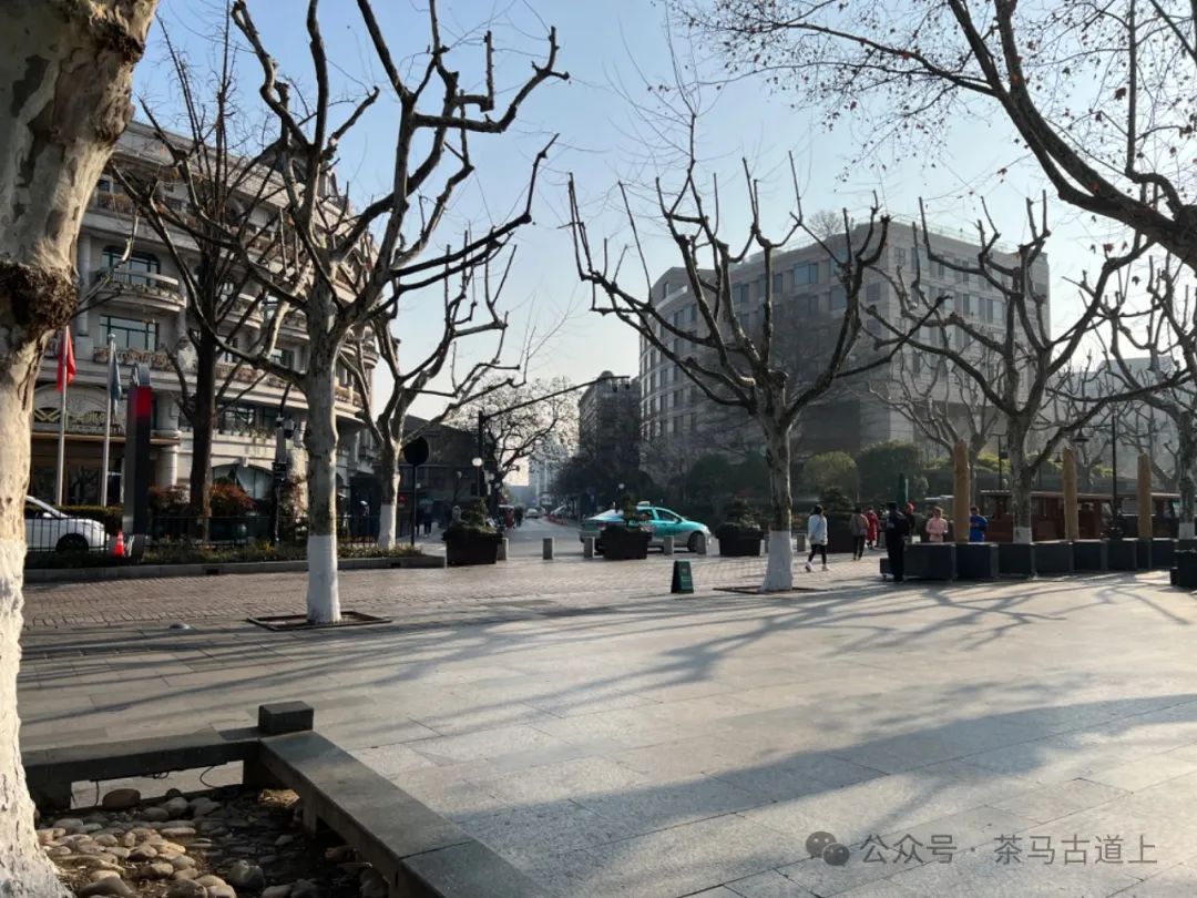 随舒建新再游“人间天堂”，领略东方山水美学的典范