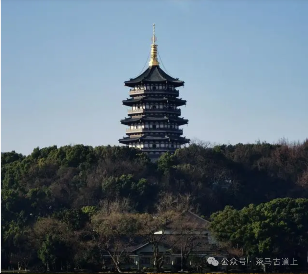随舒建新再游“人间天堂”，领略东方山水美学的典范