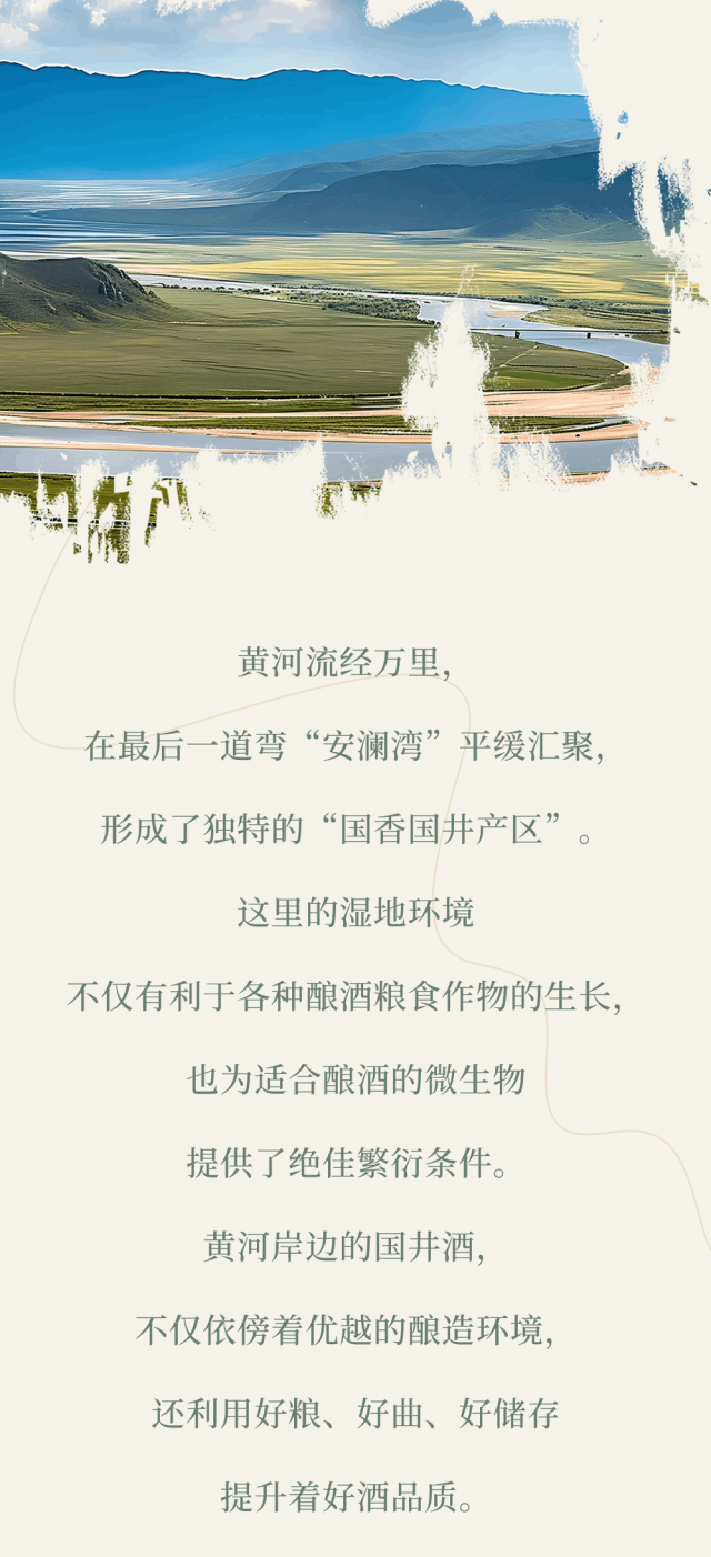 黄河安澜湾畔，国井香溢四方：六粮精华与古法传承共酿时代佳酿
