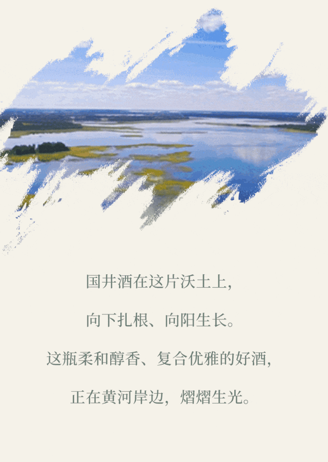 黄河安澜湾畔，国井香溢四方：六粮精华与古法传承共酿时代佳酿