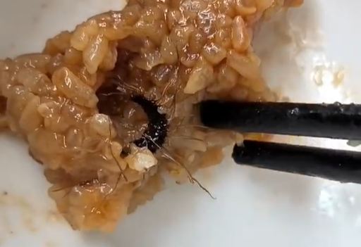 天天3·15|科迪鲜肉粽里吃出虫子，网友：良心卖家，还给加肉
