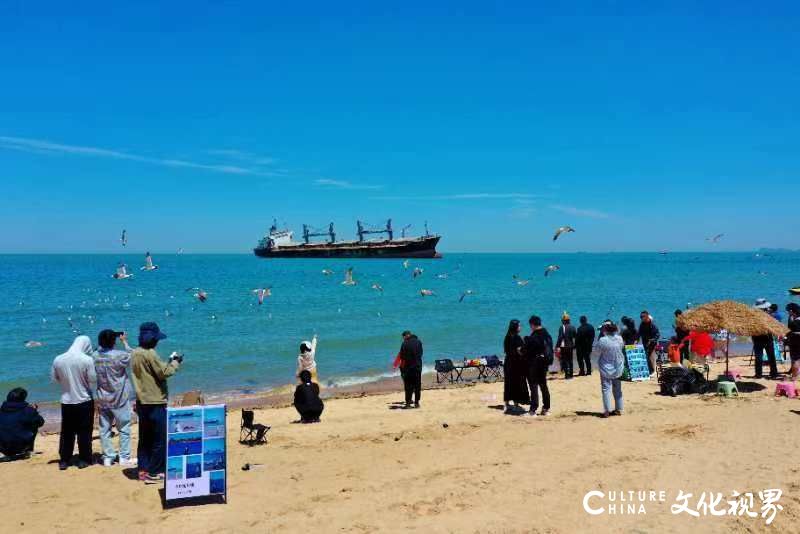 王兆立：当布鲁维斯号遇见这片海……