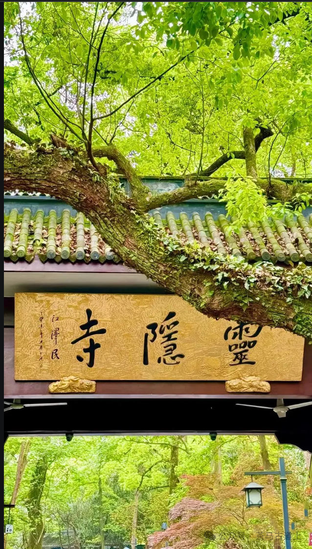 跟随舒建新走进杭州灵隐寺，探索千年古刹的静谧与禅意