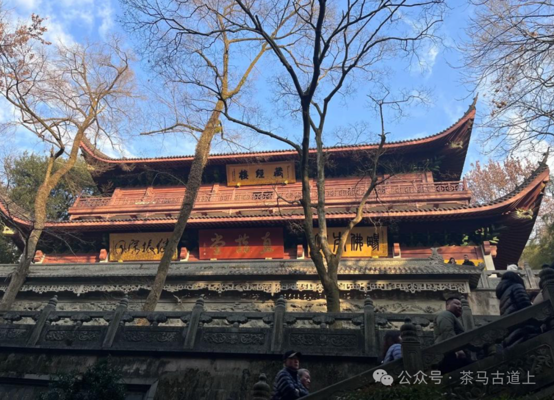 跟随舒建新走进杭州灵隐寺，探索千年古刹的静谧与禅意