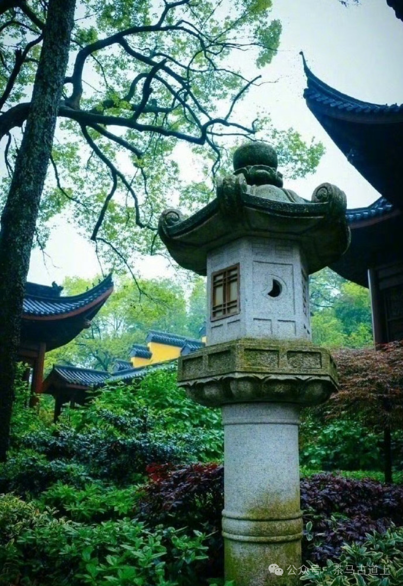 跟随舒建新走进杭州灵隐寺，探索千年古刹的静谧与禅意