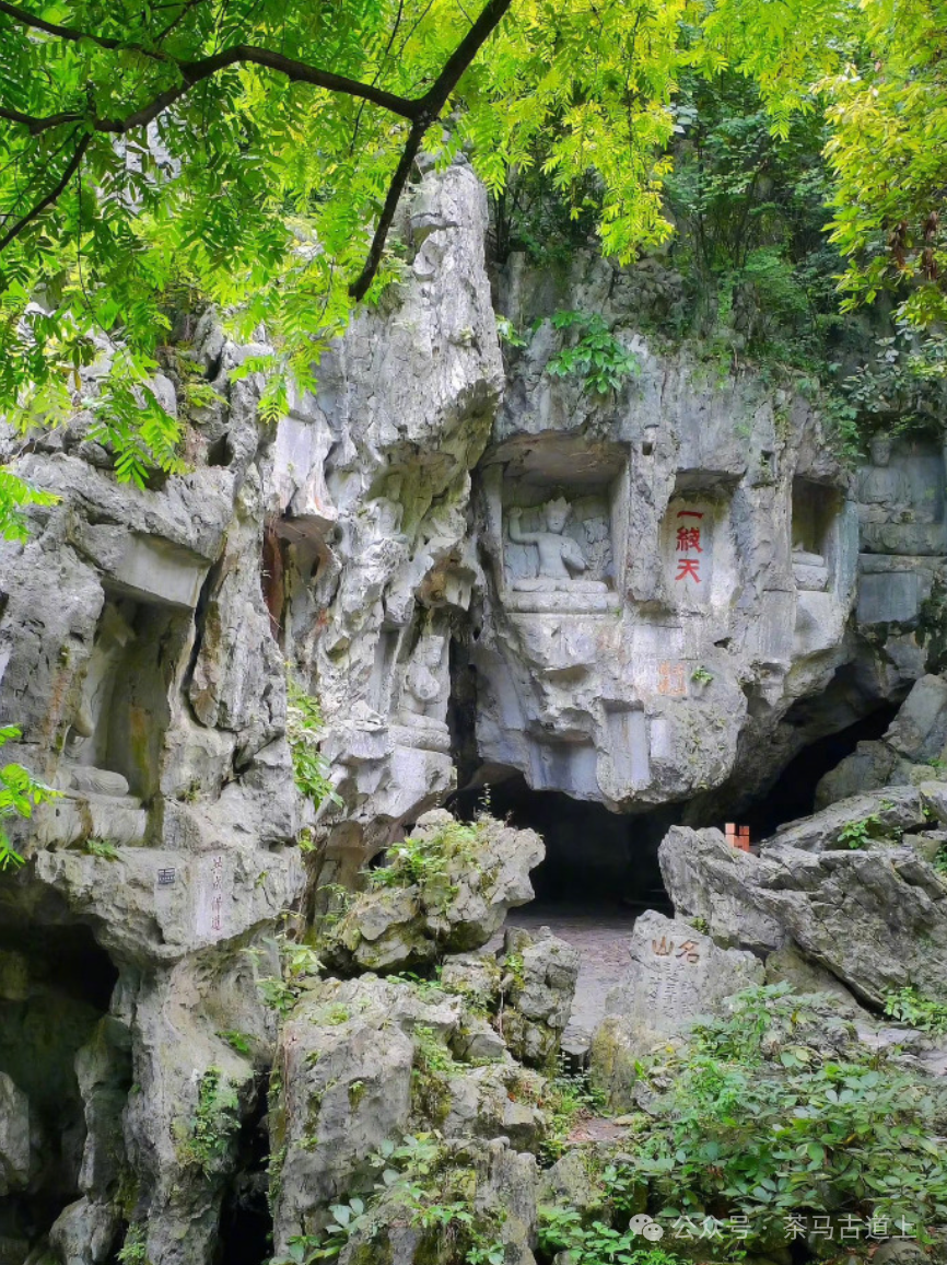 跟随舒建新走进杭州灵隐寺，探索千年古刹的静谧与禅意