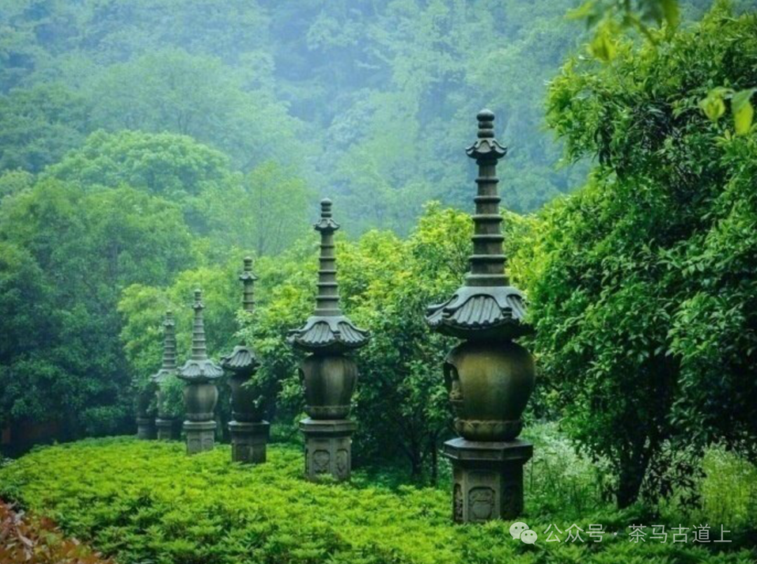 跟随舒建新走进杭州灵隐寺，探索千年古刹的静谧与禅意