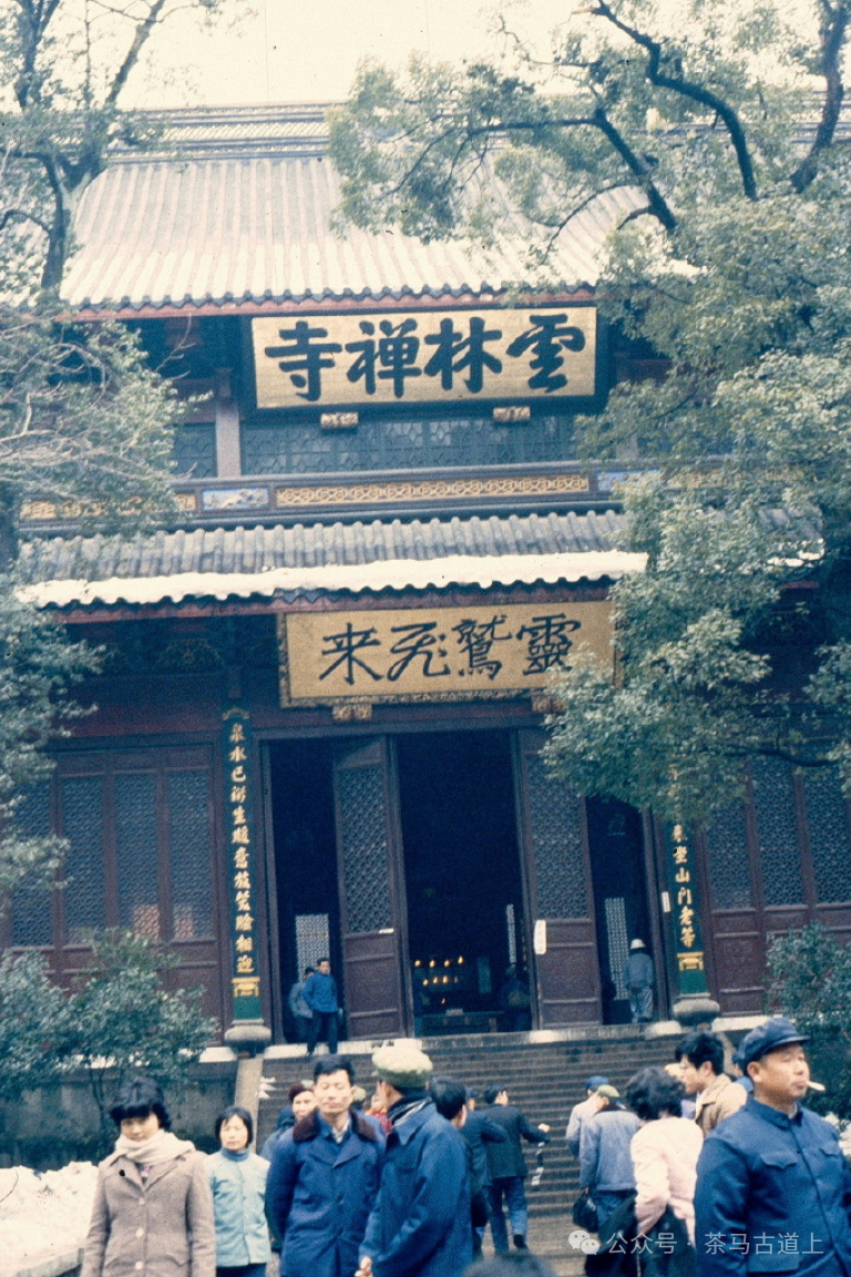 跟随舒建新走进杭州灵隐寺，探索千年古刹的静谧与禅意