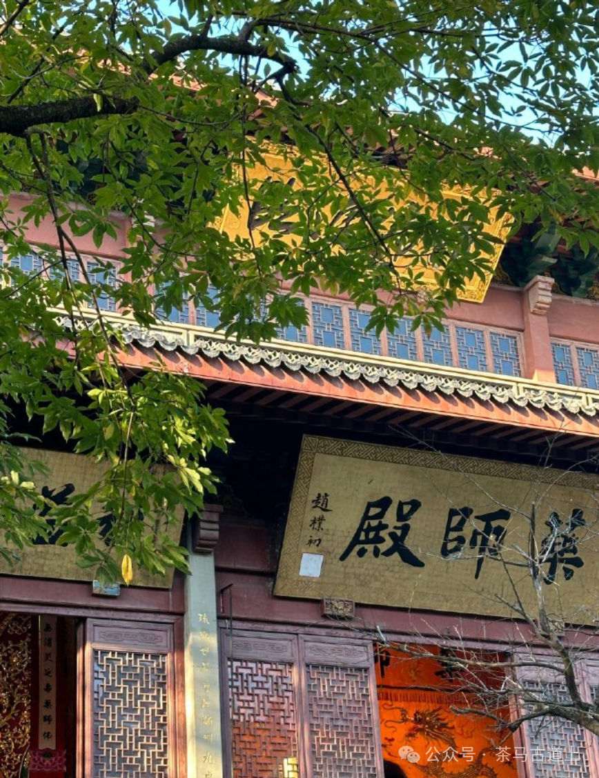跟随舒建新走进杭州灵隐寺，探索千年古刹的静谧与禅意