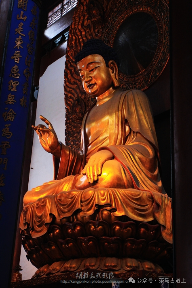 跟随舒建新走进杭州灵隐寺，探索千年古刹的静谧与禅意