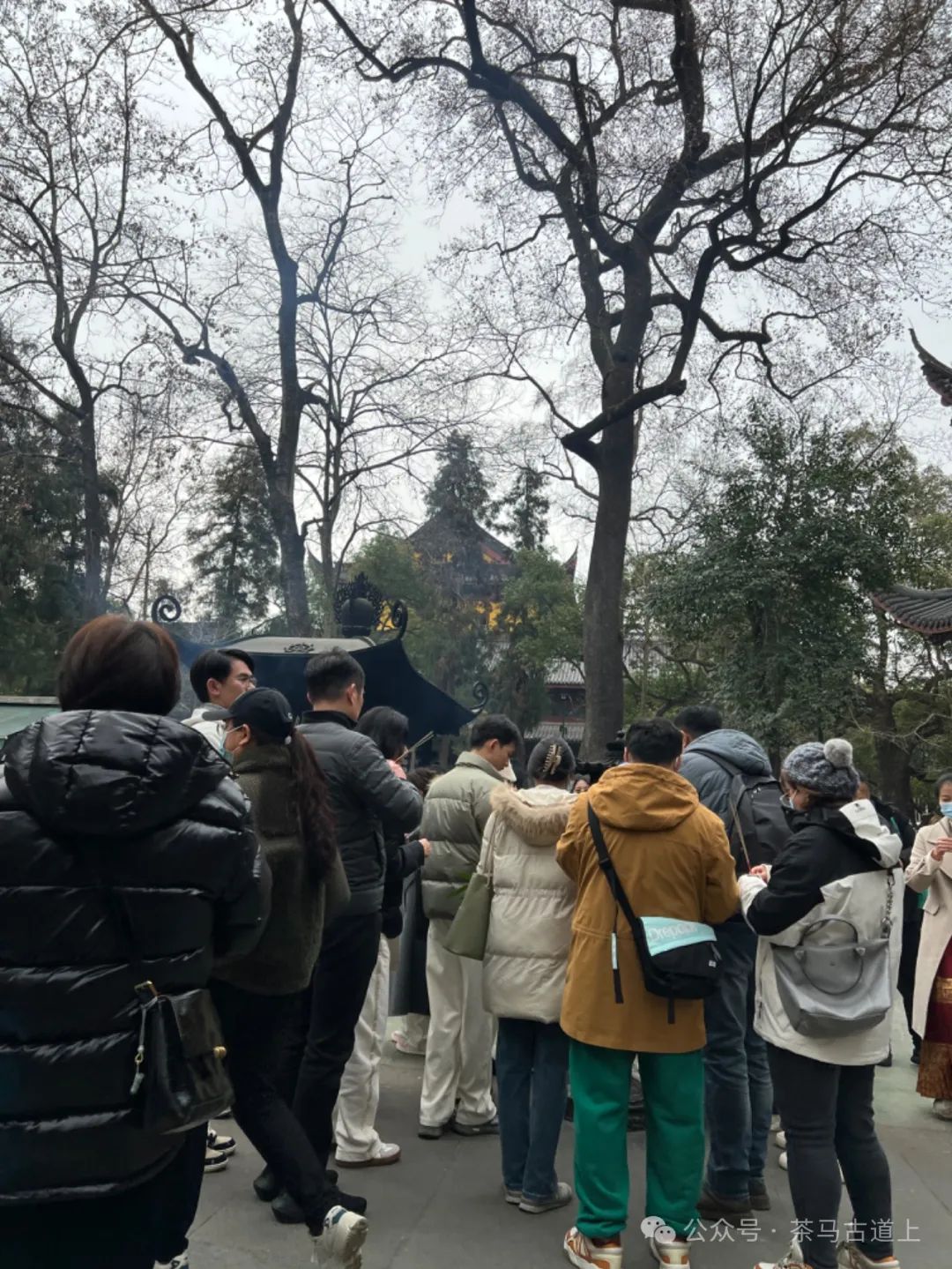 跟随舒建新走进杭州灵隐寺，探索千年古刹的静谧与禅意