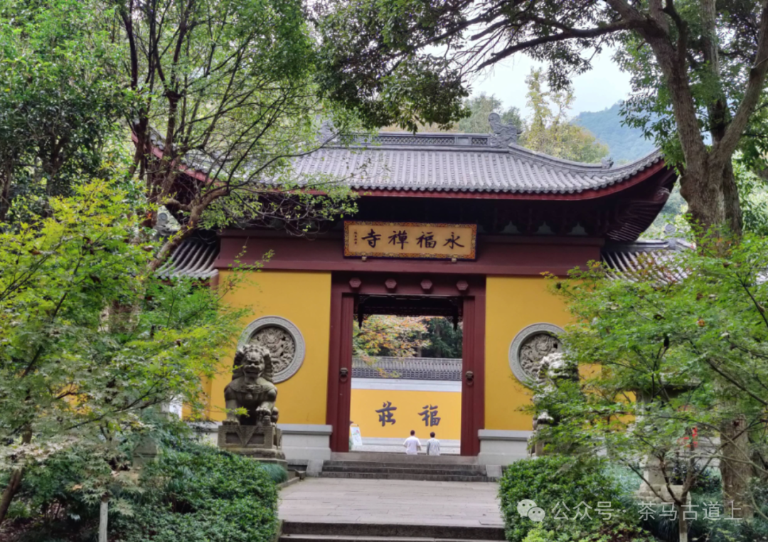跟随舒建新走进杭州灵隐寺，探索千年古刹的静谧与禅意
