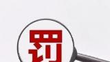 擅自改变林地用途，青岛小珠山旅游发展有限公司被处罚