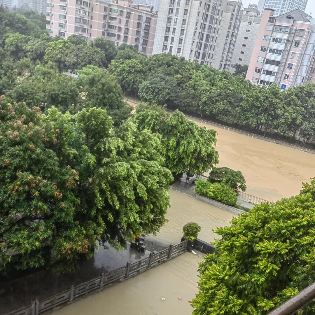 海尔为受灾区提供全方位支持，免费检测和维修家电产品