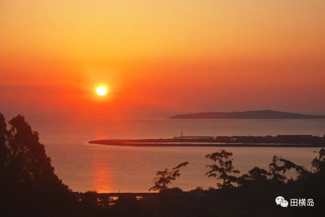 8·15全国生态日 | 来青岛即墨田横岛感受一个无蚊蝇的夏天
