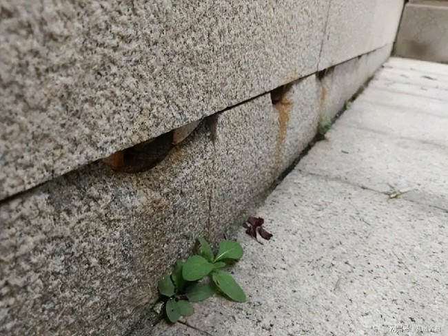 青岛即墨古城多处地面下沉墙体开裂，每年巨额的维修费花到哪去了？